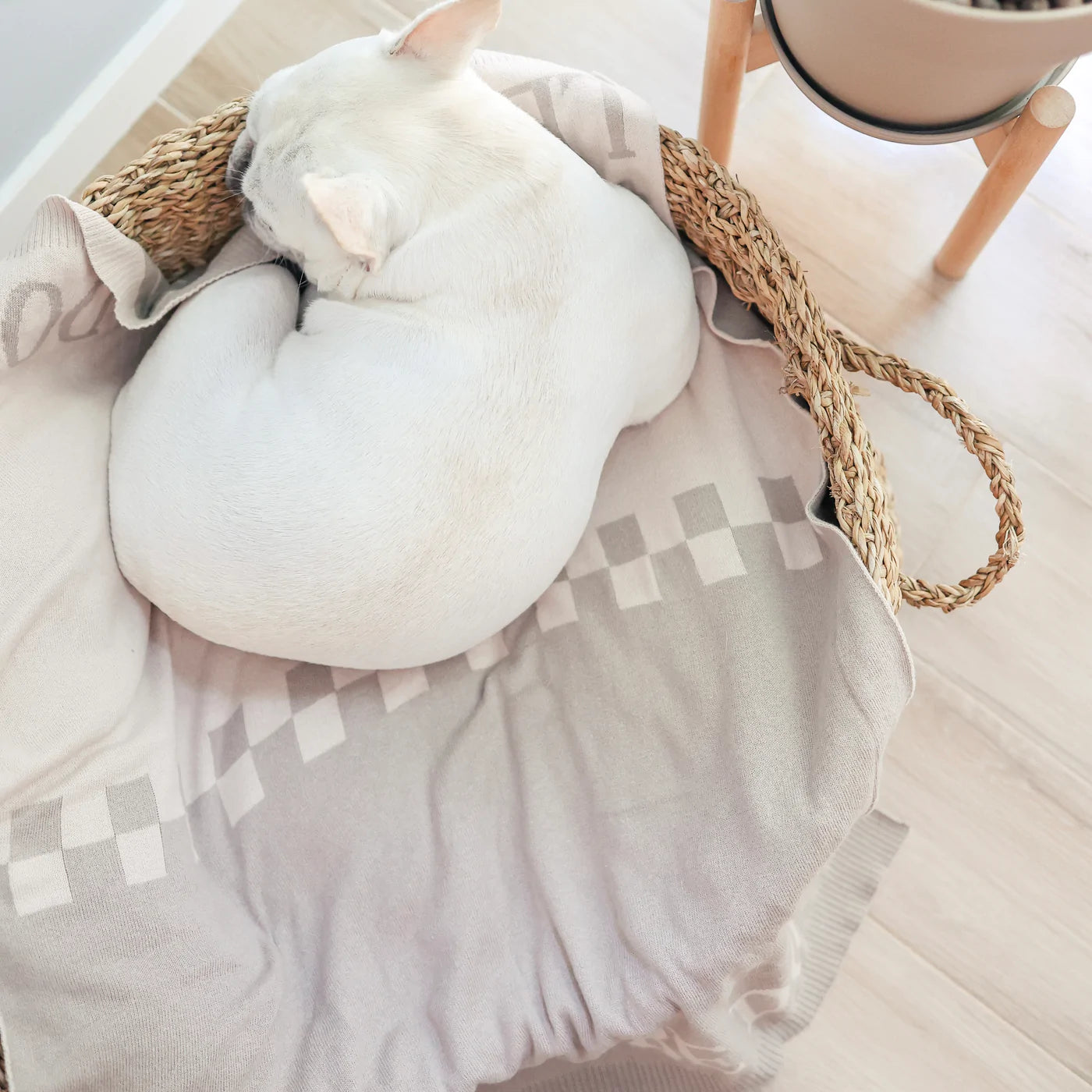 Couverture « Laissez les chiens être des chiens »