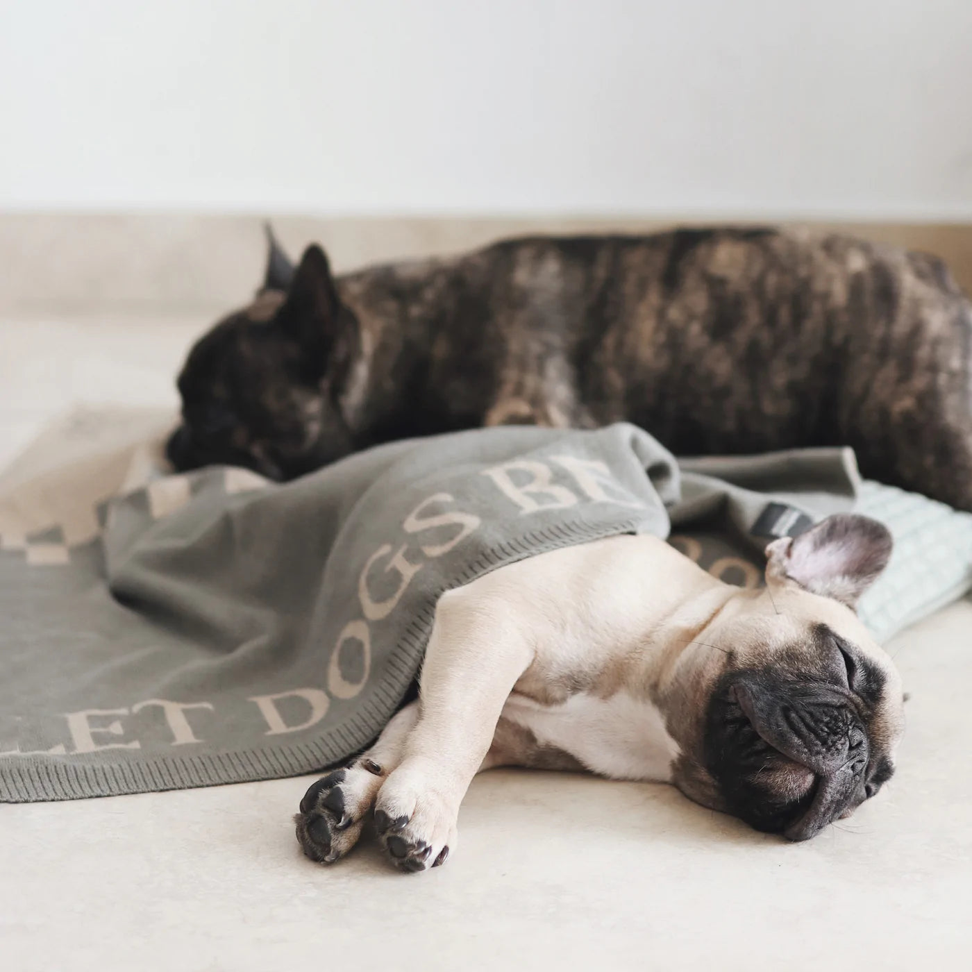 Couverture « Laissez les chiens être des chiens »