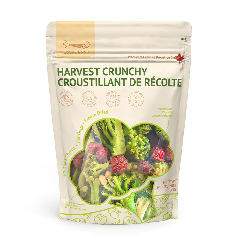 Freeze-Dried - Crunchy Harvest - Broccoli, Corn & Cranberry