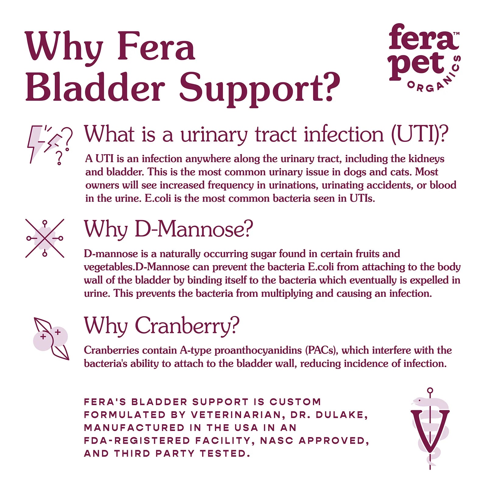 Bladder Support for Dogs and Cats