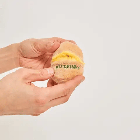 AAA+ Egg Nosework Toy