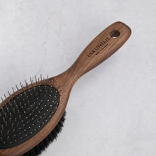 Double-Sided Brush