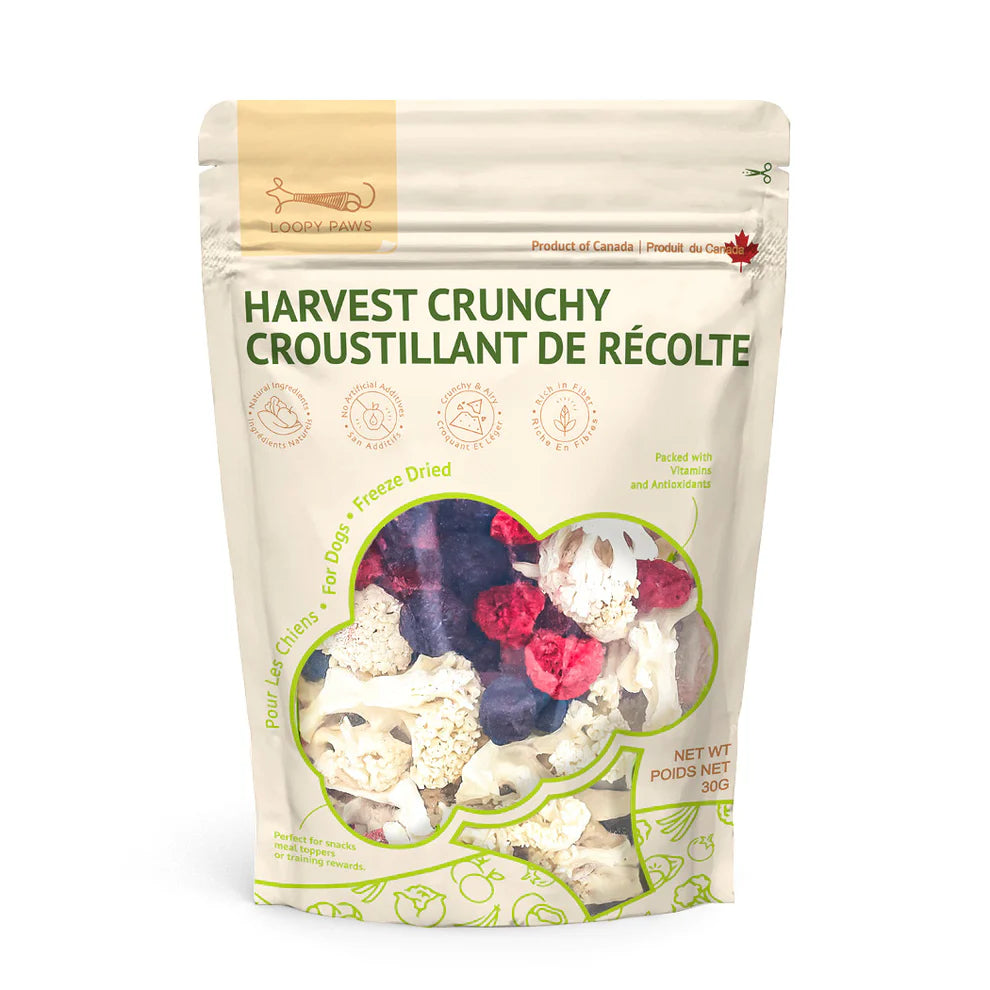 Freeze-Dried - Crunchy Harvest - Cauliflower, Blueberry & Raspberry
