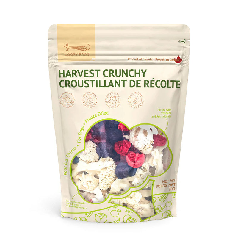 Freeze-Dried - Crunchy Harvest - Cauliflower, Blueberry & Raspberry