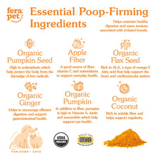 Pumpkin Plus Fiber Support pour chiens et chats