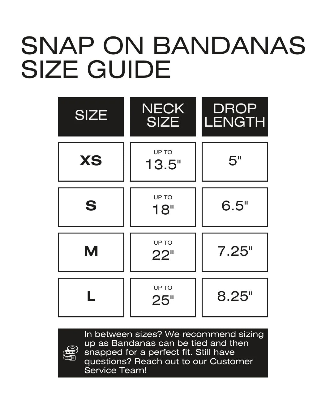 BANDANA | CITROUILLE CREUX