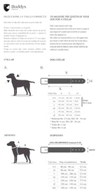 Collier pour chien James Green