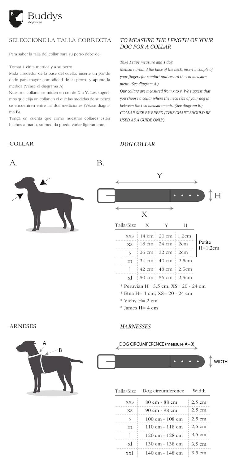 Collier pour chien James Green