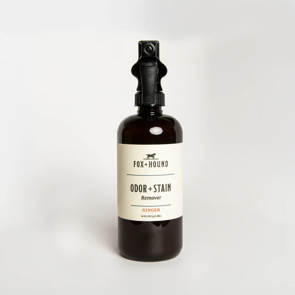 Odor + Stain Remover - Ginger