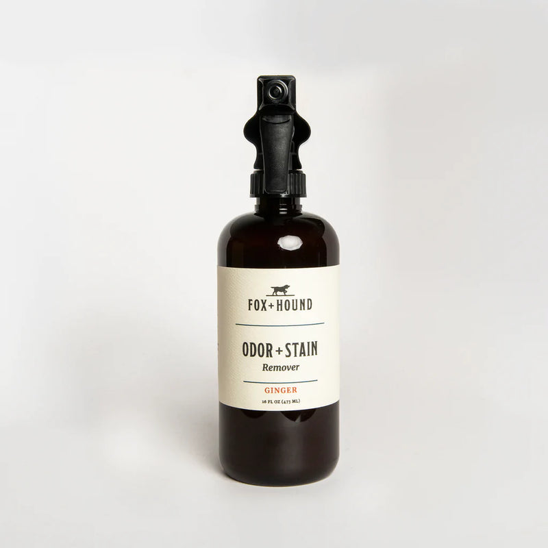 Odor + Stain Remover - Ginger
