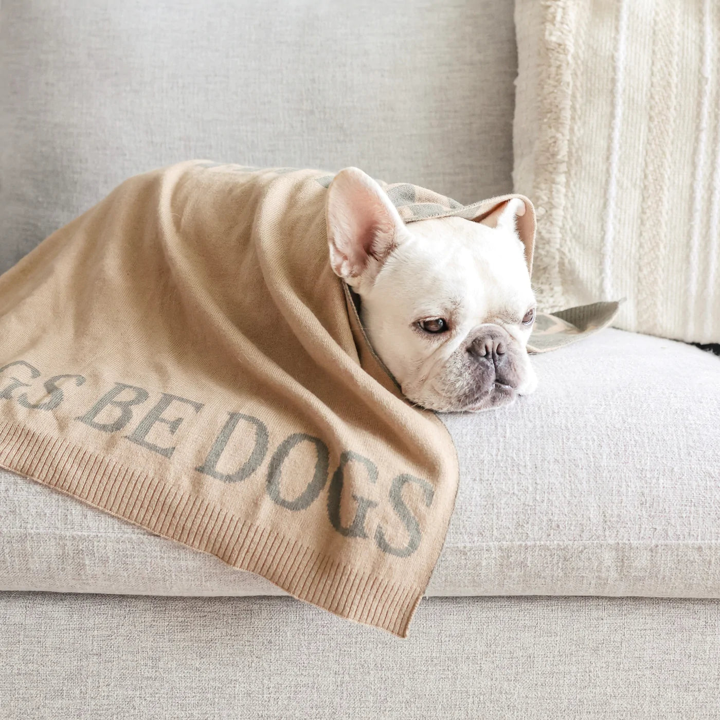 Couverture « Laissez les chiens être des chiens »