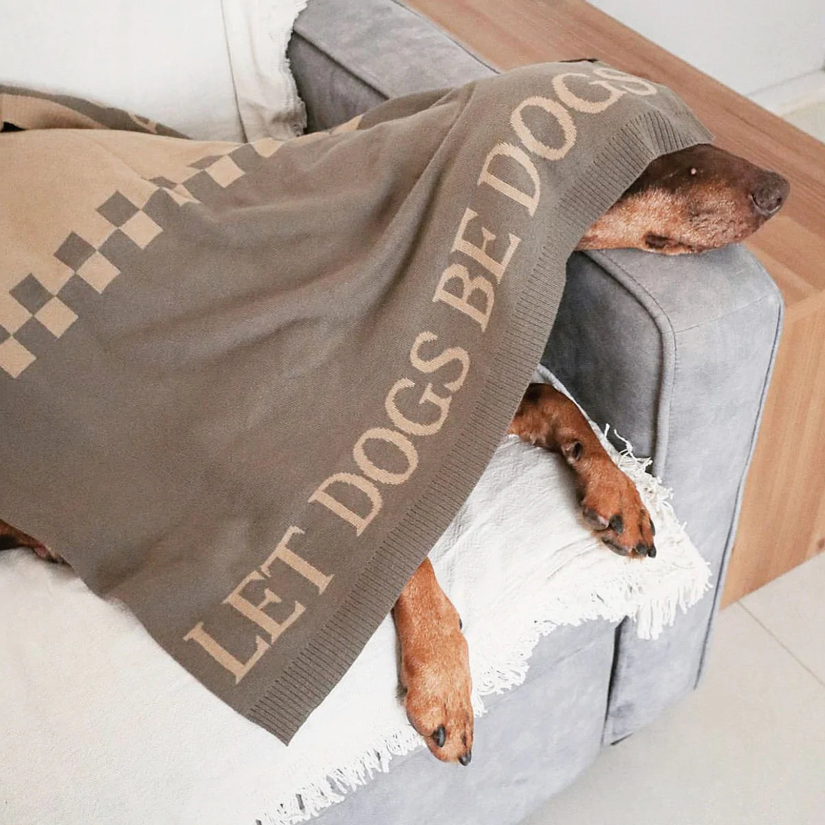 Couverture « Laissez les chiens être des chiens »