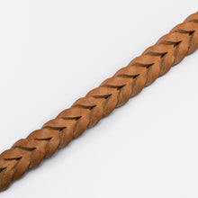 Collier pour chien Central Park - Chameau