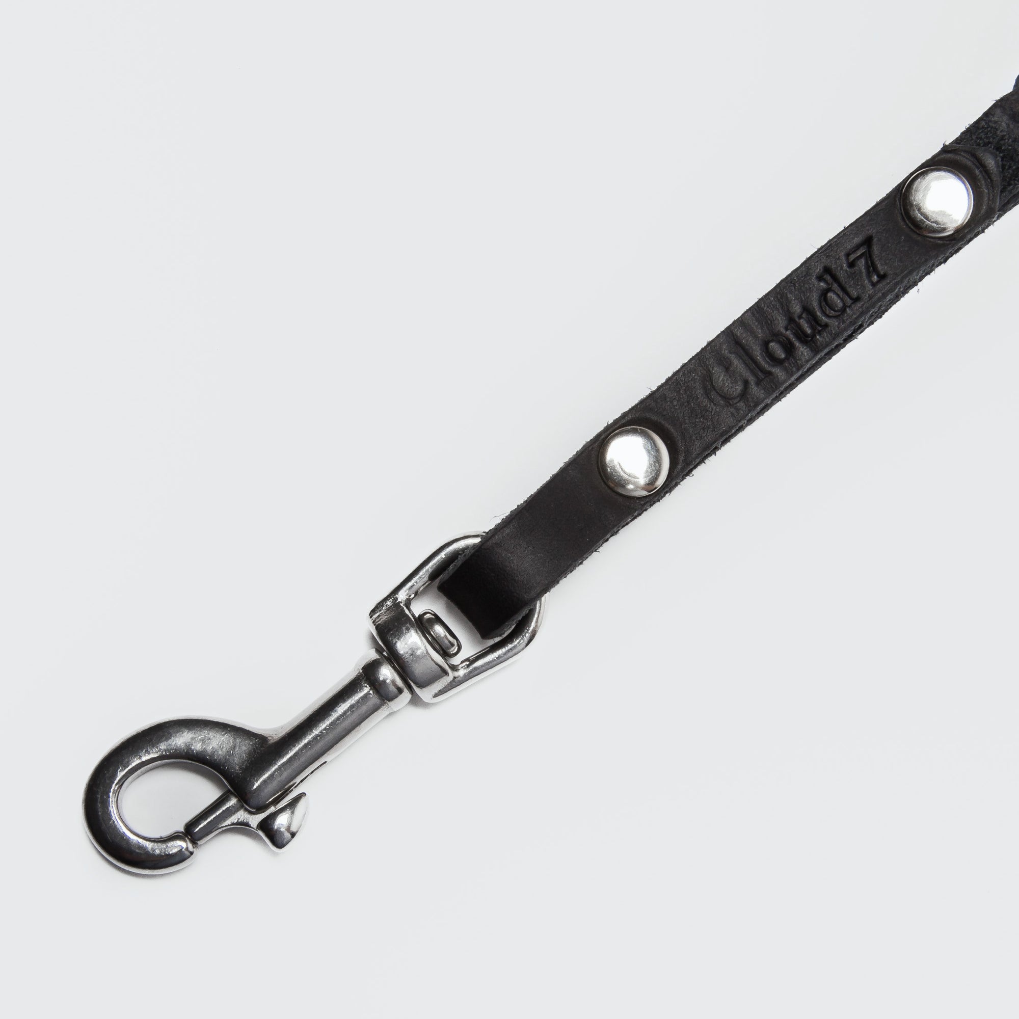 Laisse pour chien Central Park - Noir 