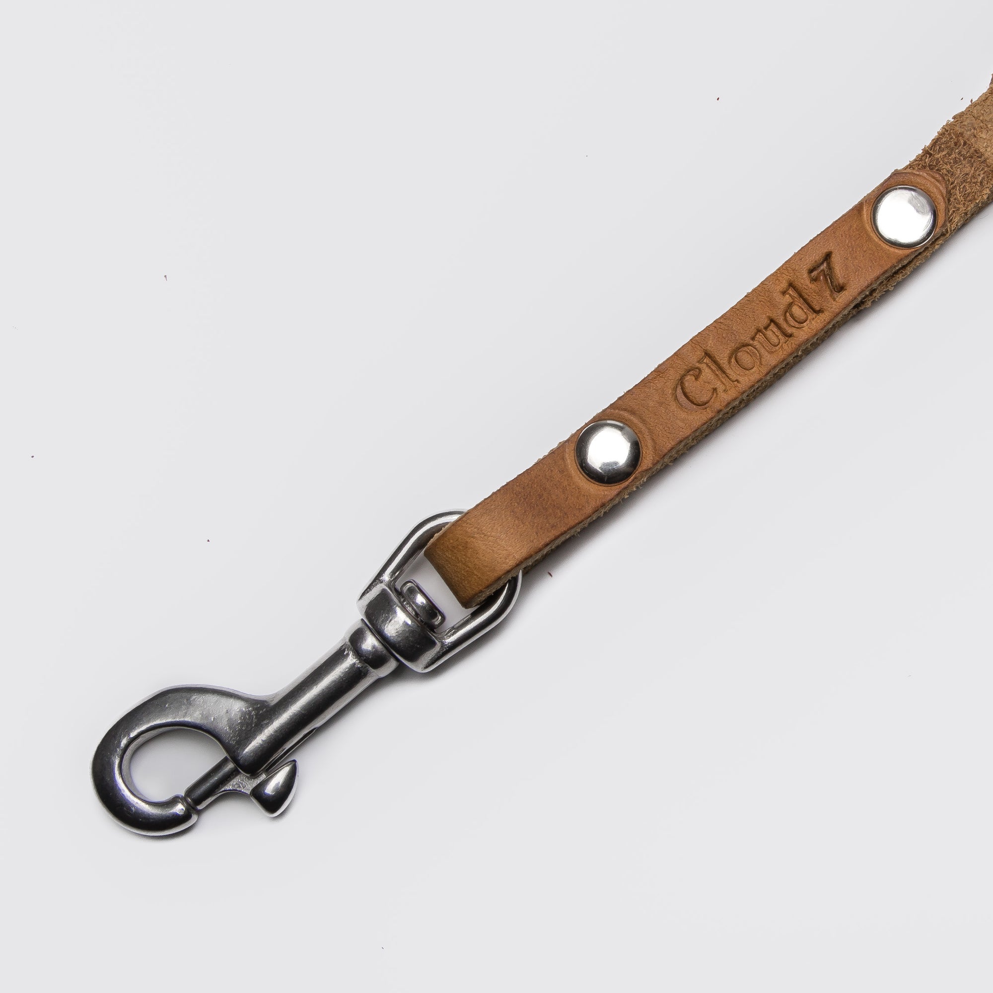 Laisse pour chien Central Park - Camel