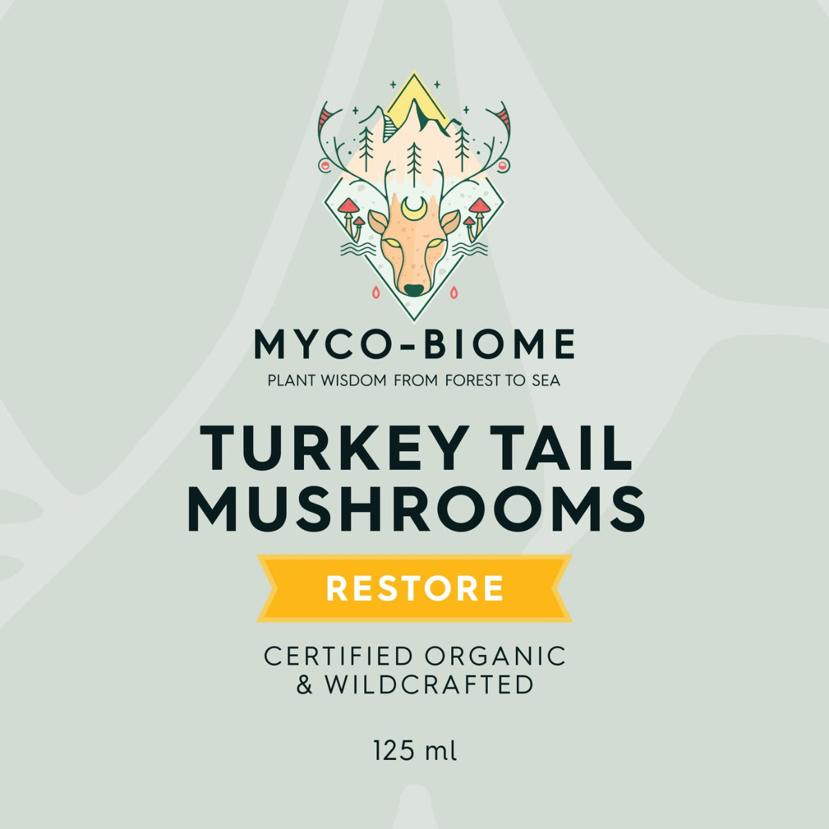 Champignons queue de dinde | Extrait triple liquide 