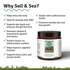 Sol et mer | Pré et probiotiques primordiaux 