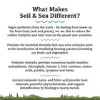 Sol et mer | Pré et probiotiques primordiaux 