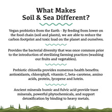 Sol et mer | Pré et probiotiques primordiaux 