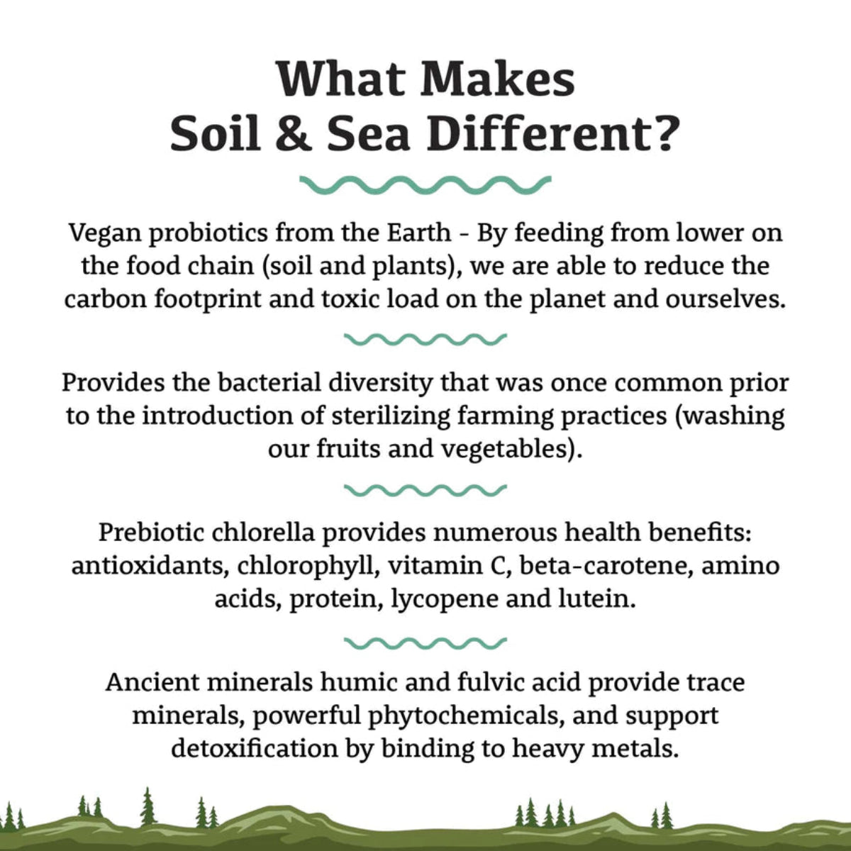 Sol et mer | Pré et probiotiques primordiaux 